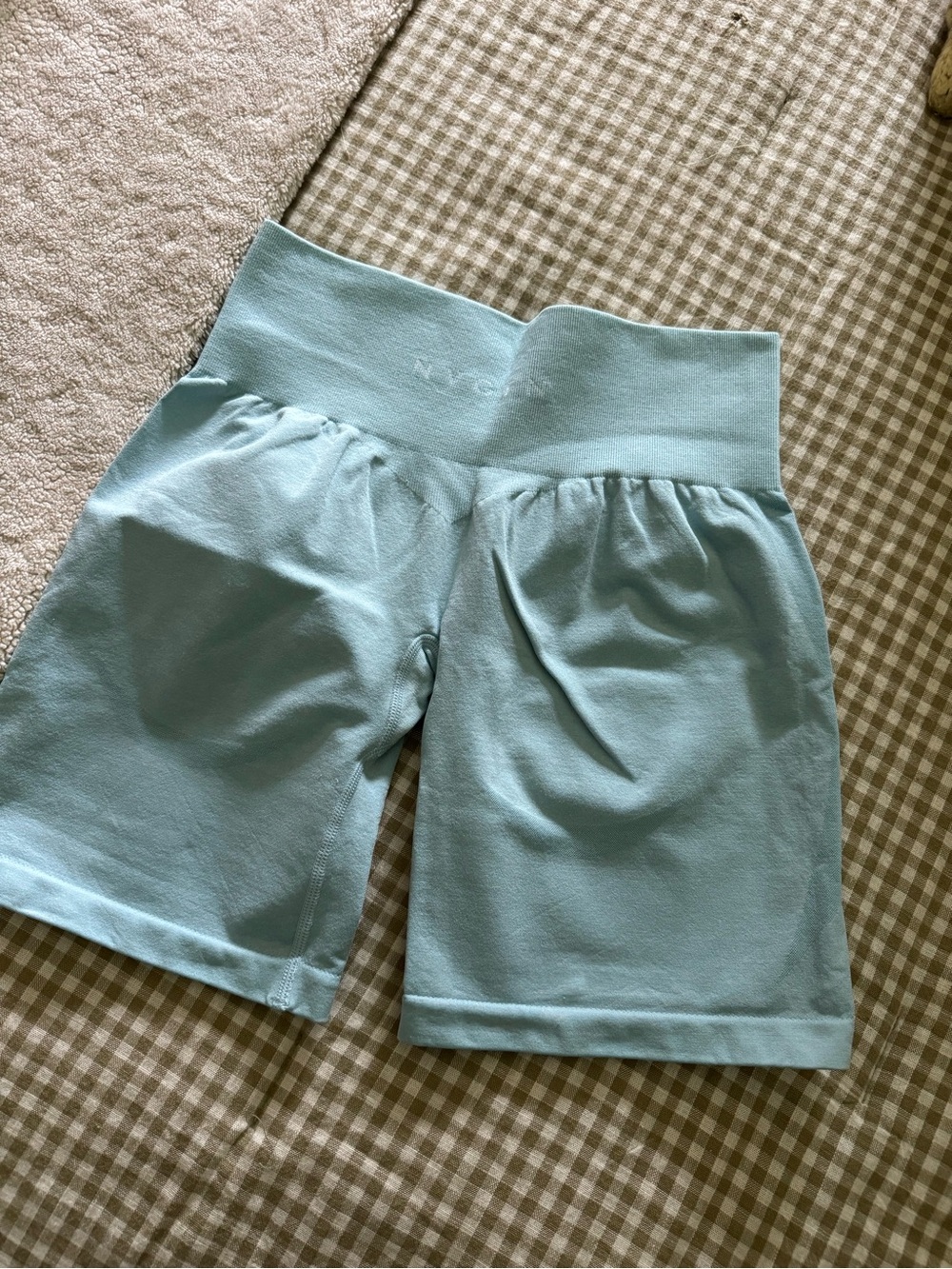 Pastel Blue Contour Seamless Shorts